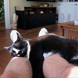 Meet your Posher, Bruce